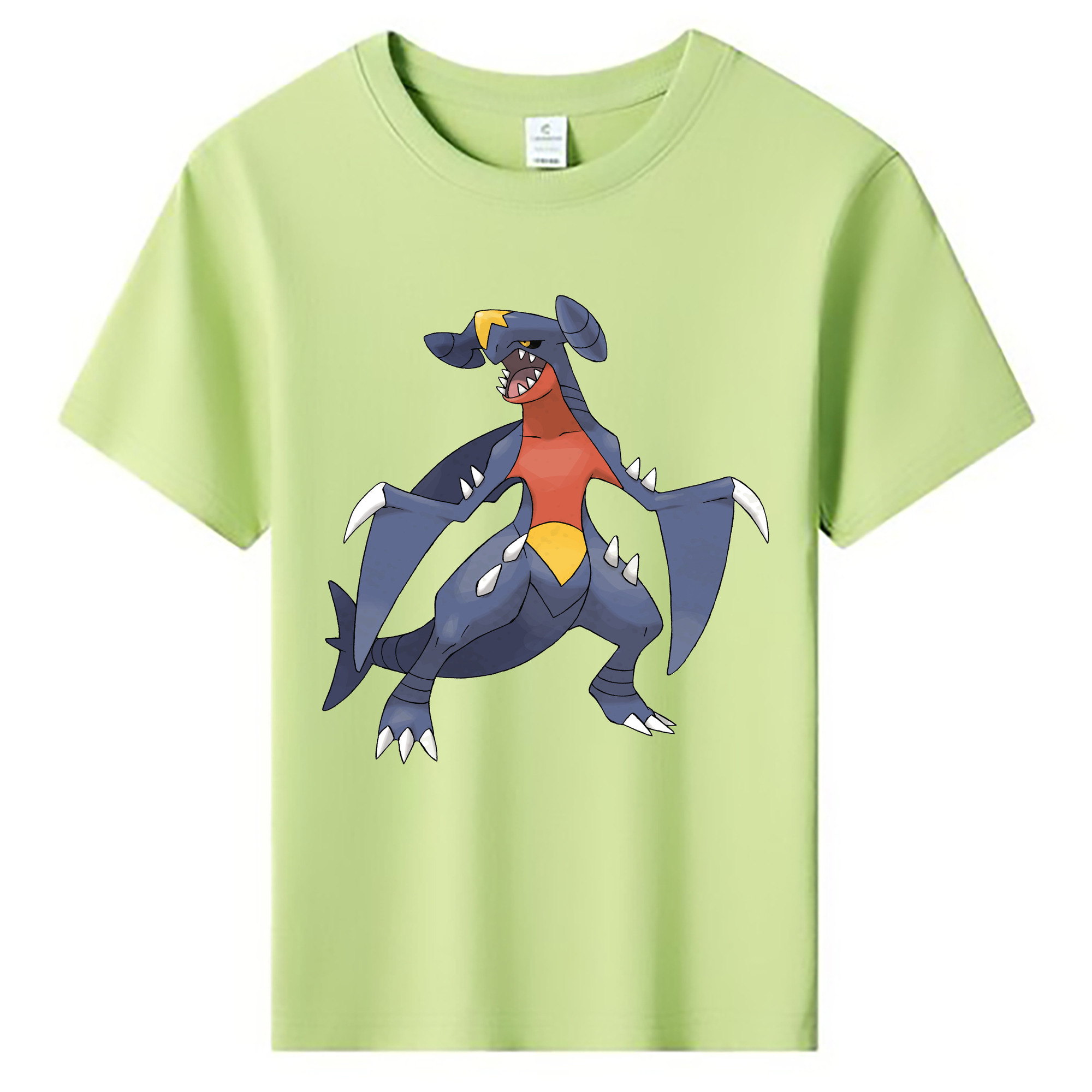（画像用） ポケットモンスター Pokémon 綿100％キッズTシャツ（フロントプリント）